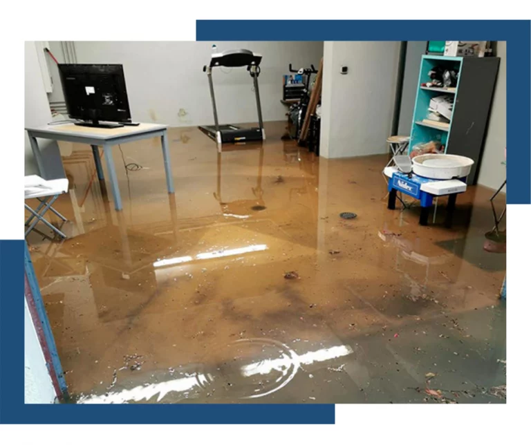 ccebi expert d'assuré - contre expertise d'assurance